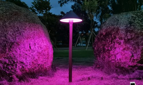 mmexport1591790928466